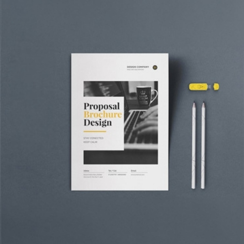 Professional Business Proposals