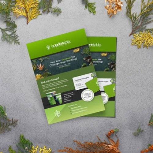 Eco-Friendly Brochures
